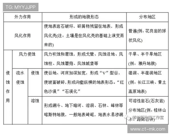 球星在足球队中的多重角色与关键作用分析 球星在足球队中的多重角色与关键作用分析